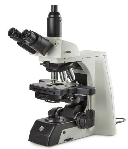 Delphi-X Observer DX.1153-PLPhi