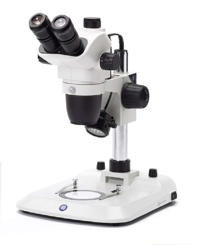 Nexius Zoom (EVO) NZ.1703-P