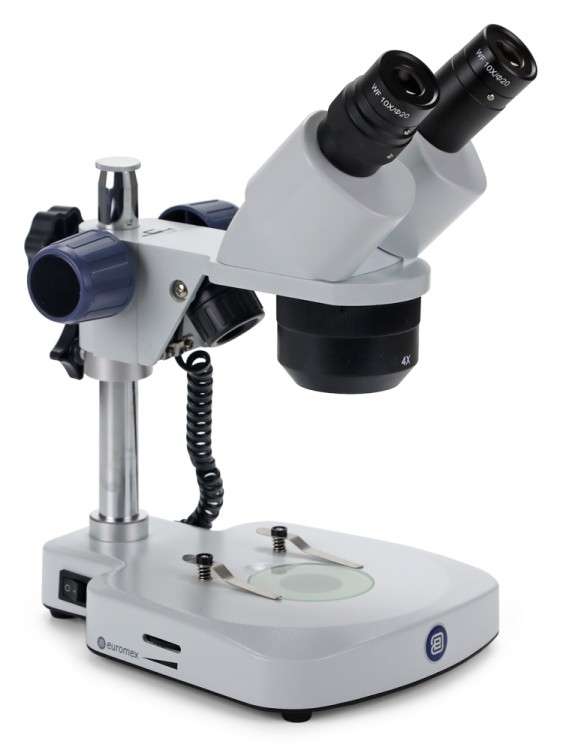 Euromex EduBlue ED.1402-P
