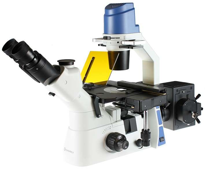 Oxion OX.2453-PLF
