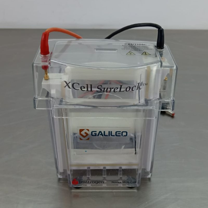 Invitrogen XCell Surelock Mini-Cell