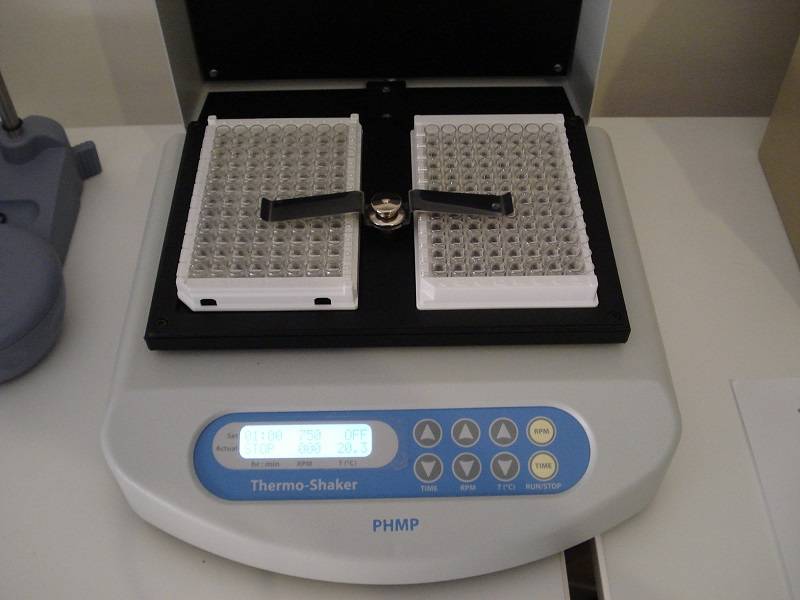 Grant-bio PHMP
