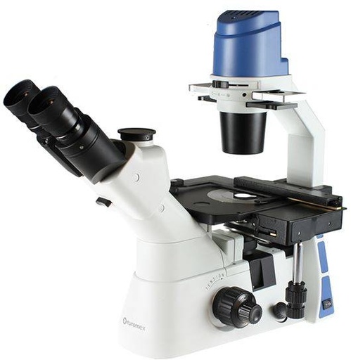 Oxion Inverso OX.2053-PLPH