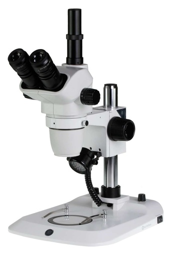 Nexius Zoom NZ.1903-P